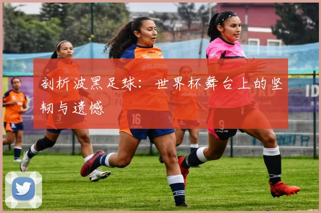 剖析波黑足球:世界杯舞台上的坚韧与遗憾