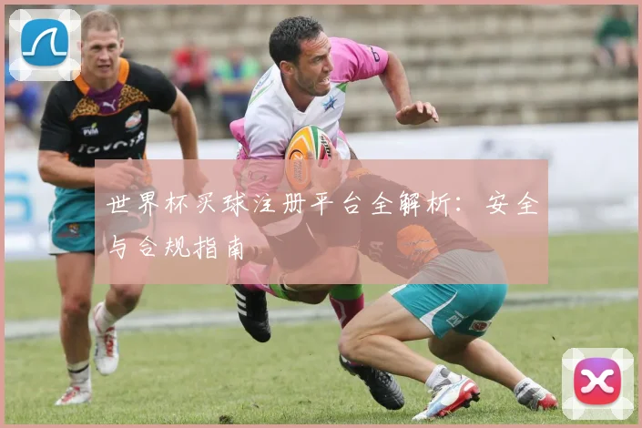 世界杯买球注册平台全解析:安全与合规指南