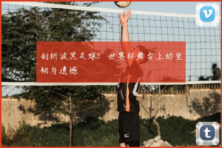 剖析波黑足球:世界杯舞台上的坚韧与遗憾