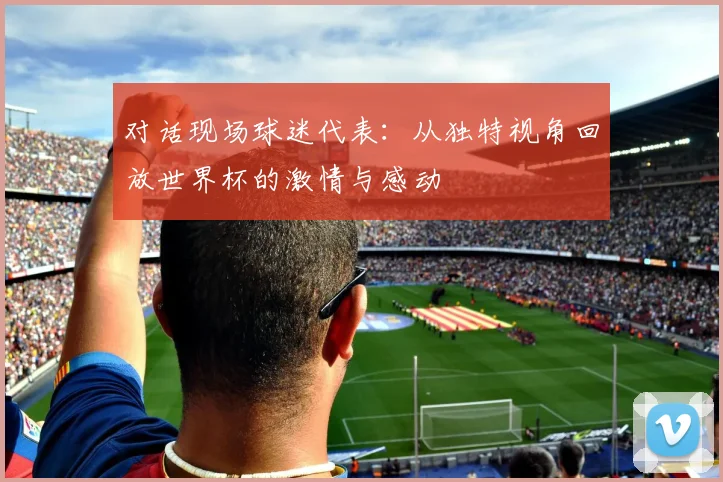 对话现场球迷代表：从独特视角回放世界杯的激情与感动
