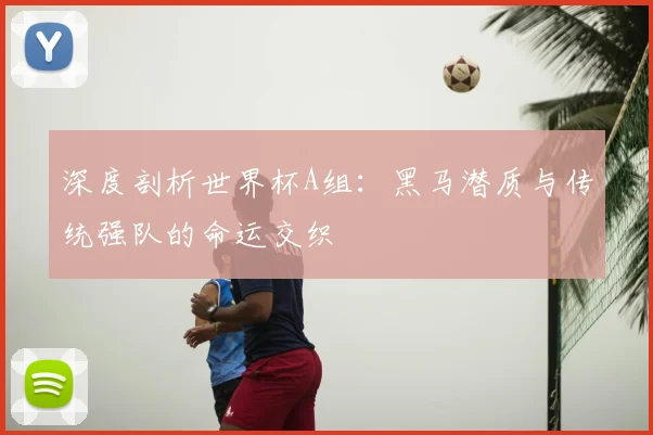 深度剖析世界杯A组：黑马潜质与传统强队的命运交织