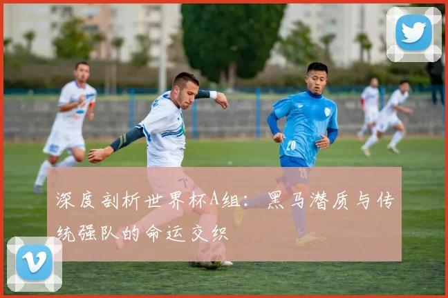 深度剖析世界杯A组：黑马潜质与传统强队的命运交织